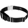 Country Brook Petz Heavyduty Nylon Martingale With Premium Buckle 2 Country Brook Petz Heavyduty Nylon Martingale With Premium Buckle -Pet Shop GUEST 30acfc5d 9098 49e4 a4f7 efa396e925cc