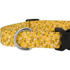 Country Brook Petz Deluxe Spring Cottagecore Dog Collar And Leash -Pet Shop GUEST 317848d0 6a3d 4318 8d26 1dcbfc169ba0