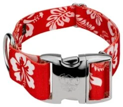 Country Brook Petz 1 1/2 Inch Premium Red Hawaiian Dog Collar -Pet Shop GUEST 31bf4457 902f 402d a0c3 051724f47308