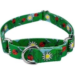 Country Brook Petz - Ladybug Picnic Martingale Dog Collar -Pet Shop GUEST 32b1260e 57d6 4dcc ac61 5ce8378aa249