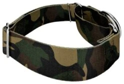 Country Brook Petz 1 1/2 Inch Woodland Camo Martingale Dog Collar -Pet Shop GUEST 333fee36 b14c 42bf 96e7 8e1baf946fec