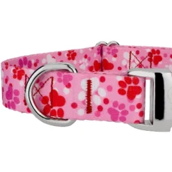 Country Brook Petz Premium Puppy Love Dog Collar -Pet Shop GUEST 33ccdeeb 6d15 4da4 9017 b405cc655aa0