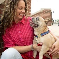 Country Brook Petz Signature Dog Collar Collection -Pet Shop GUEST 344fbfc0 4101 44d0 8088 4ee1c77499bb