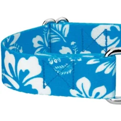 Country Brook Design - Blue Hawaiian Martingale Dog Collar -Pet Shop GUEST 34eeb98a e48a 4763 b2ba be21d16dbf15