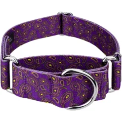 Country Brook Petz 1 1/2 Inch Purple Paisley Martingale Dog Collar -Pet Shop GUEST 34ef2a63 682f 47b3 971f 11c19b35e879
