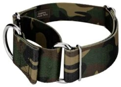 Country Brook Petz 1 1/2 Inch Woodland Camo Martingale Dog Collar -Pet Shop GUEST 351e0b55 d53c 4a3c 995e 63f5b434b95b