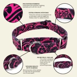 Country Brook Petz Martingale Dog Collar - Attitude Collection -Pet Shop GUEST 359c82e9 48fb 42a7 9dd4 eec8ba11e7ee