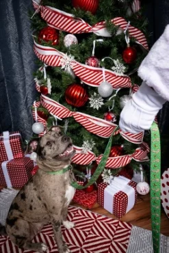 Country Brook Petz® 1 Inch Candy Cane Christmas Dog Leash, 6 Foot