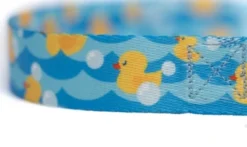 Country Brook Petz Premium Just Ducky Dog Collar -Pet Shop GUEST 366603cf b67a 4ae8 b484 108155c91642