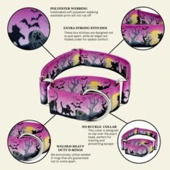 Country Brook Petz HossFit Jr Wide Martingale Dog Collar - Halloween Collection -Pet Shop GUEST 3684610d e148 4650 9b0a 3b2b9fa0091f