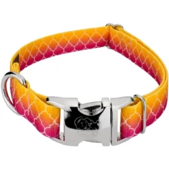 Country Brook Petz Premium Fabulous Ombre Dog Collar -Pet Shop GUEST 3708dd84 fddd 4ddd af1c 0baf1c8c234d