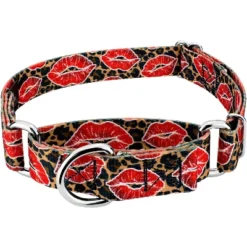 Country Brook Petz Cheetah Kisses Martingale Dog Collar -Pet Shop GUEST 3722be95 0cfd 4e6e 867c f7b3f4d87492