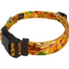 Country Brook Petz Deluxe Autumn Wind Dog Collar And Leash -Pet Shop GUEST 37ca3a67 64be 4e7a 821c 2ee0ffc79165