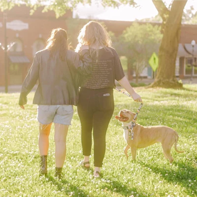 Country Brook Petz Premium Pride Dog Collar And Leash 4 Country Brook Petz Premium Pride Dog Collar And Leash - Image 2