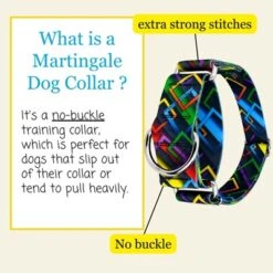 Country Brook Petz HossFit Jr Wide Martingale Dog Collar - Abstract Collection
