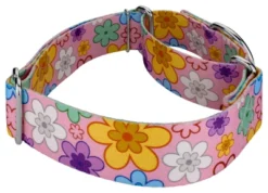 Country Brook Petz 1 1/2 Inch May Flowers Martingale Dog Collar -Pet Shop GUEST 385c719f 5d10 46ed bb5c 57afa196b283