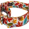 Country Brook Petz 1 1/2 Inch Brisk Autumn Martingale Dog Collar 1 Country Brook Petz 1 1/2 Inch Brisk Autumn Martingale Dog Collar -Pet Shop GUEST 38802b7d 6305 43ed 92db 00ea93b49473