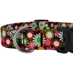 Country Brook Petz Daisy Fields Deluxe Dog Collar And Leash 9 Country Brook Petz Daisy Fields Deluxe Dog Collar And Leash -Pet Shop GUEST 38c2bf01 0ccf 4c38 8cd5 e82f4dce5f55