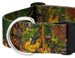 Country Brook Petz 1 1/2 Inch Deluxe Southern Forest Camo Dog Collar -Pet Shop GUEST 38d056b5 af0a 4a4b 9786 5a988ef61791