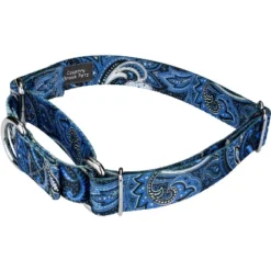 Country Brook Petz Martingale Dog Collar - Paisley Collection -Pet Shop GUEST 38d26741 7f51 4a0e bf05 b915c2963f88