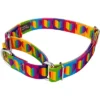 Country Brook Petz Rainbow Hearts Martingale Dog Collar