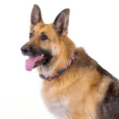 Country Brook Petz 1 1/2 Inch Patriotic Tribute Martingale Dog Collar