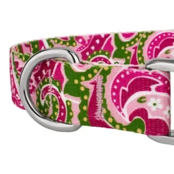 Country Brook Petz Premium Pink Paisley Dog Collar 14 Country Brook Petz Premium Pink Paisley Dog Collar -Pet Shop GUEST 3936b13c 5710 4077 9262 7db1c0d34267
