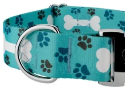 Country Brook Petz HossFit Jr Wide Premium Dog Collar - Dog's Life Collection (Oh My Dog, Extra Large) -Pet Shop GUEST 3a09ad82 602f 4964 91b8 66b59f46121d 1