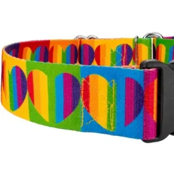 Country Brook Petz 1 1/2 Inch Rainbow Hearts Martingale W/Deluxe Buckle Dog Collar -Pet Shop GUEST 3a59fdfb a869 4177 9f26 8fce6d58e6c1