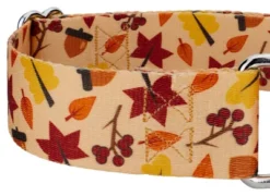 Country Brook Petz 1 1/2 Inch Fall Foliage Martingale Dog Collar -Pet Shop GUEST 3a8f693b bc79 412f 85a5 6c96f5c9928c