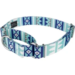 Country Brook Petz Snowy Pines Martingale Dog Collar