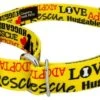 Country Brook Petz Yellow Loveable Rescue Martingale Dog Collar -Pet Shop GUEST 3bd40778 2cd9 4836 8f24 4bb68caada24