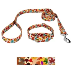 Country Brook Petz Martingale Collar And Leash - Awesome Autumn Collection -Pet Shop GUEST 3c4073c7 af1d 4f2a b603 5c357243c6b7