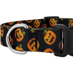 Country Brook Petz Happy Jack Deluxe Dog Collar And Leash -Pet Shop GUEST 3c700b59 bdd5 4d74 a2ad 1d287f2c8156