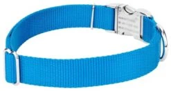Country Brook Petz Premium Nylon Dog Collar 19 Country Brook Petz Premium Nylon Dog Collar -Pet Shop GUEST 3ca33c5f 7cc1 4a36 81cb 63d98150d2a1