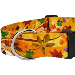 Country Brook Petz HossFit Jr Wide Deluxe Dog Collar - Awesome Autumn Collection -Pet Shop GUEST 3cd1644a 986f 485a 8309 9f8de46577a6