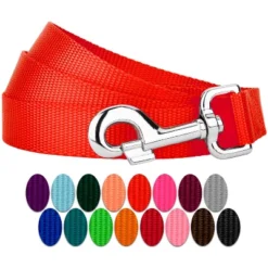 Country Brook Petz 6ft By 1 Inch Heavyduty Doublehandle Nylon Leash -Pet Shop GUEST 3ce56113 4709 4b37 b0da 99faccc91135