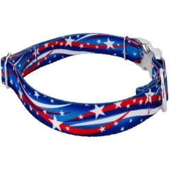 Country Brook Petz Premium Star Spangled Dog Collar And Leash -Pet Shop GUEST 3d127680 8983 48d0 8bd2 5920203475dd
