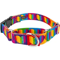 Country Brook Petz 1 1/2 Inch Rainbow Hearts Martingale W/Deluxe Buckle Dog Collar -Pet Shop GUEST 3d1dabc3 9174 4291 86de 79d48e9aa216