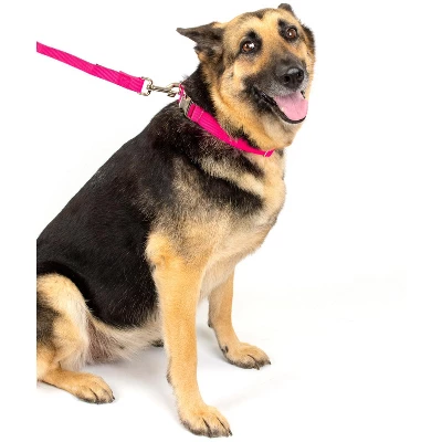 Country Brook Petz Premium Nylon Dog Collar 12 Country Brook Petz Premium Nylon Dog Collar - Image 10