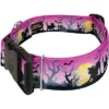 Country Brook Petz HossFit Jr Wide Deluxe Dog Collar - Halloween Collection -Pet Shop GUEST 3db44627 1c27 47cd 90d0 a9ba75fa651e