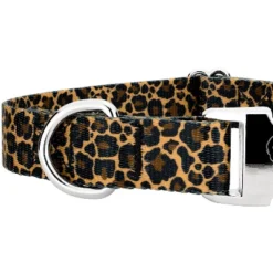Country Brook Petz Premium Leopard Print Dog Collar -Pet Shop GUEST 3e65a129 174c 4086 b6cd e9948a5788ea