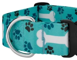Country Brook Petz 1 1/2 Inch Deluxe Oh My Dog Collar -Pet Shop GUEST 3e7ebc8c 6554 43ab bb7e 2f16d52ee659