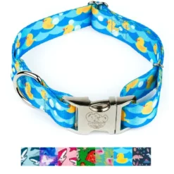 Country Brook Petz Premium Dog Collar - Critter Corner Collection 13 Country Brook Petz Premium Dog Collar - Critter Corner Collection -Pet Shop GUEST 3eb94810 d8fc 4649 b12d 512b051c56da