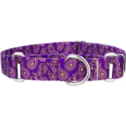 Country Brook Petz Purple Paisley Martingale Dog Collar -Pet Shop GUEST 3f4fdc4d 5890 4985 87f1 7bfd0142c5db