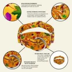 Country Brook Petz HossFit Jr Wide Martingale Dog Collar - Awesome Autumn Collection 12 Country Brook Petz HossFit Jr Wide Martingale Dog Collar - Awesome Autumn Collection -Pet Shop GUEST 3ff14c3c e9d4 44ea 9e7b 6ffd9c8efdd8