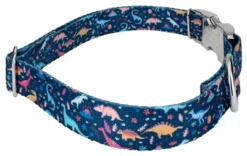 Country Brook Petz Premium Dinosaurs Dog Collar -Pet Shop GUEST 404171a5 00d8 43c6 918c 3215da9ff7d4