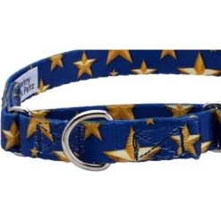 Country Brook Petz Duty Honor Country Martingale Dog Collar (1/2 Inch, 2XS) 12 Country Brook Petz Duty Honor Country Martingale Dog Collar (1/2 Inch, 2XS) -Pet Shop GUEST 40616f09 f49d 4ab8 a610 8345ee97433d