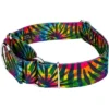 Country Brook Petz 2 Inch Tie Dye Stripes Martingale Dog Collar -Pet Shop GUEST 4075bf0d c22c 4465 b1ef a94bd998fff8