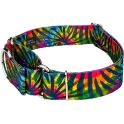 Country Brook Petz 2 Inch Tie Dye Stripes Martingale Dog Collar